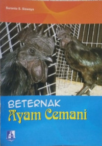 Beternak Ayam Cemani
