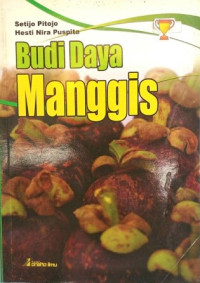 Budi Daya Manggis