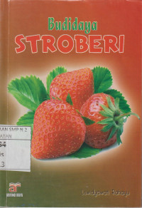 Budidaya Stroberi