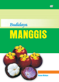 Budidaya Manggis