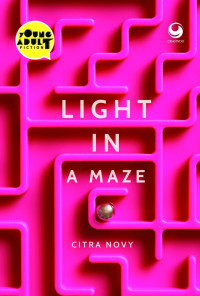 Image of Light in a Maze