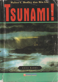 Image of Tsunami!